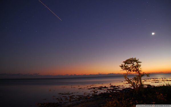 Лунное сияние