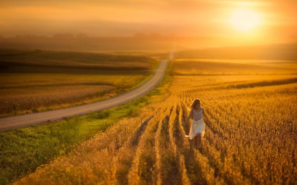 Человек идет по полю