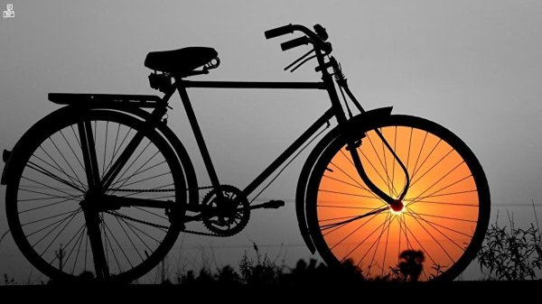 Велосипед наоборот