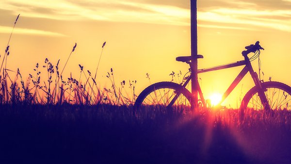 Bicycle на фоне заката