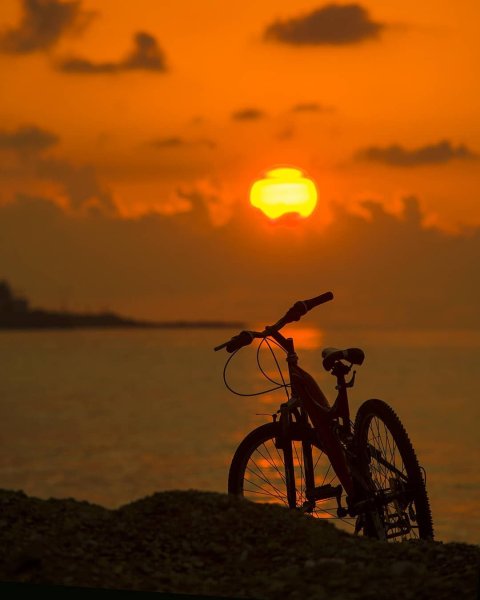 Фотосессии с велосипедом на природе