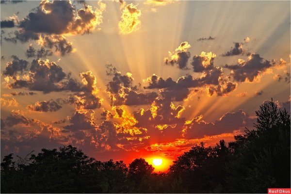 Восход в степи