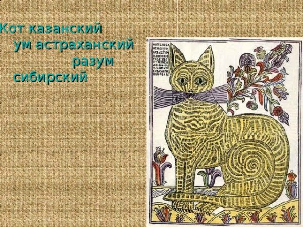 Кот Казанский лубок
