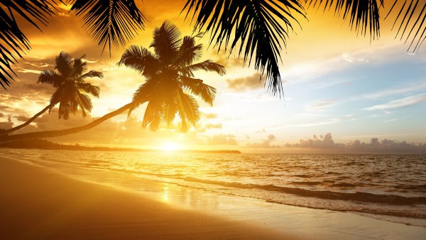 Море солнце пляж