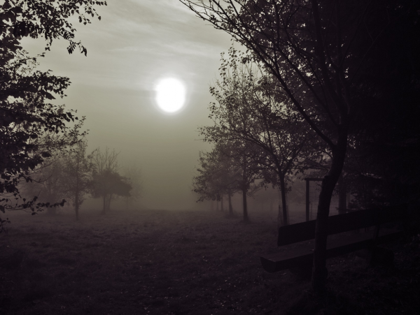 Грустный пейзаж