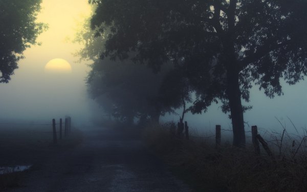 Грустные пейзажи природы