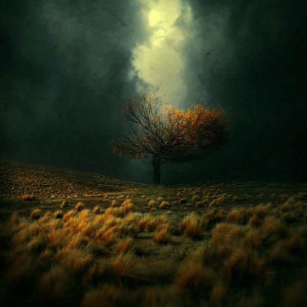 Фотоманипуляции Барбары Флорчик