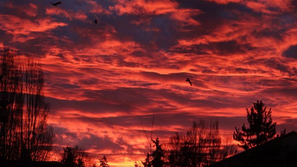 Страшная дорога