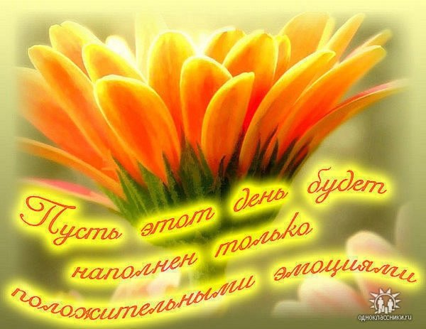 Ярких эмоций и хорошего настроения