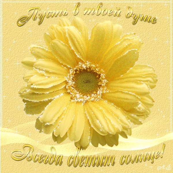 Душевного тепла и солнечного настроения