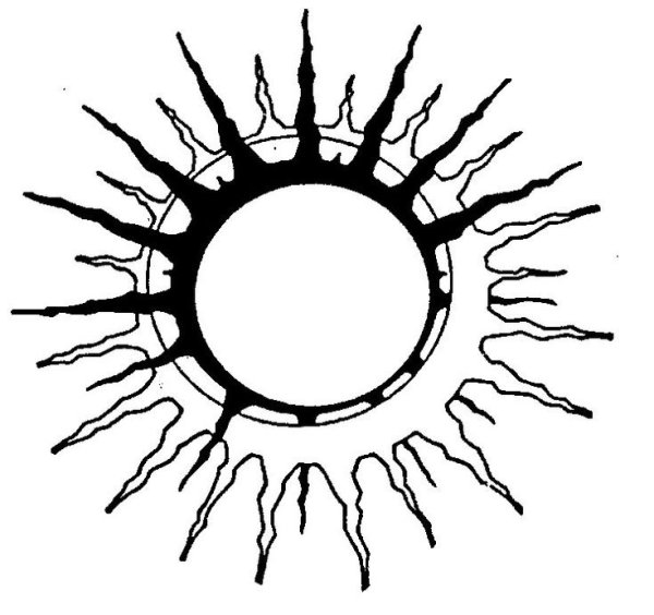 Солнце черно белое