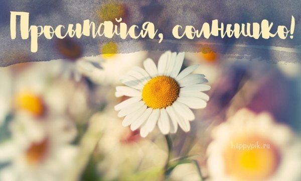 Доброе утро солнышко
