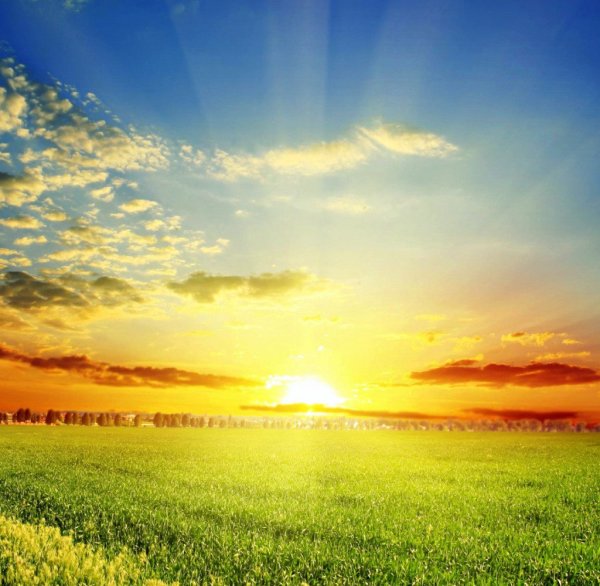 Красивое солнце