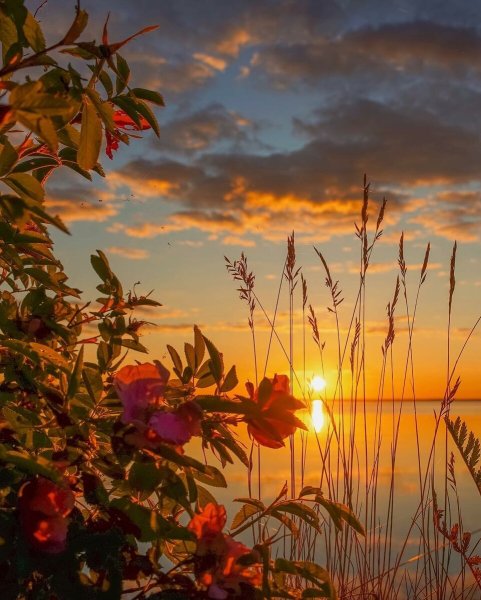 Доброе утро надпись