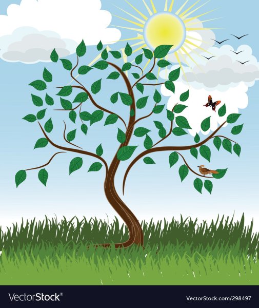 Деревья летом для детей