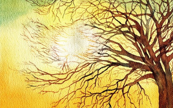 Дерево цветными карандашами