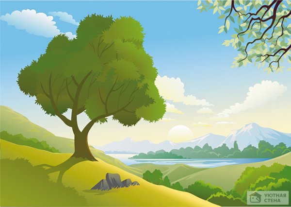 Рисунки природы