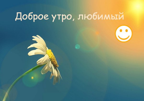 Доброе утро солнышко моё