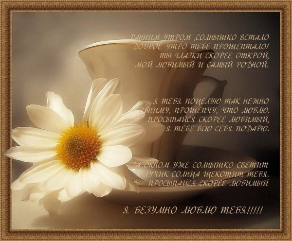 Доброе утро милый картинки