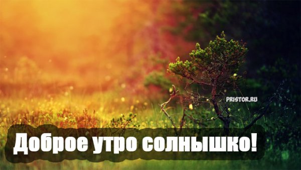 Доброе утро солнышко моё