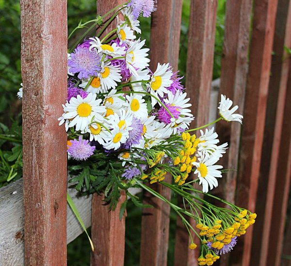 Доброе утро душевного тепла