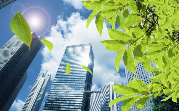 Фон для презентации по экологии