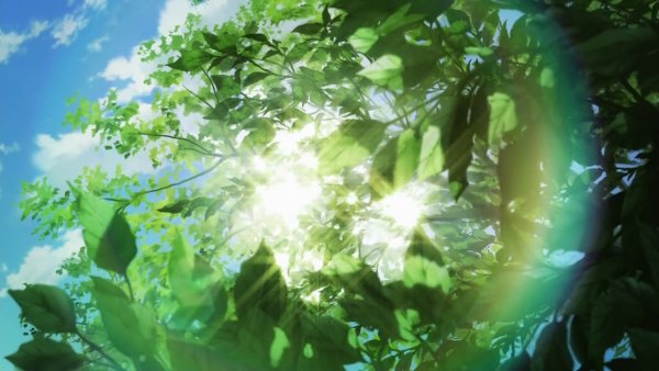 Глобальная экология