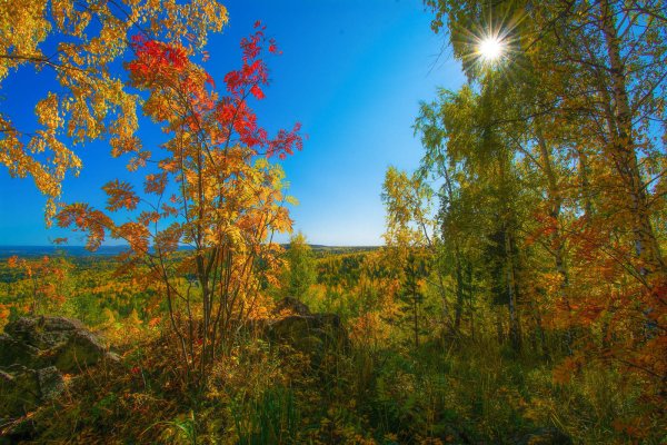 Солнечная осень