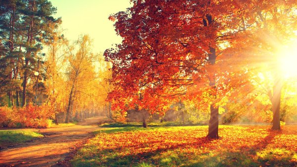 Пейзаж осени