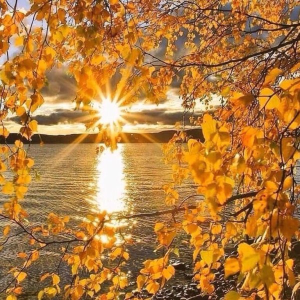 Солнечный осенний день