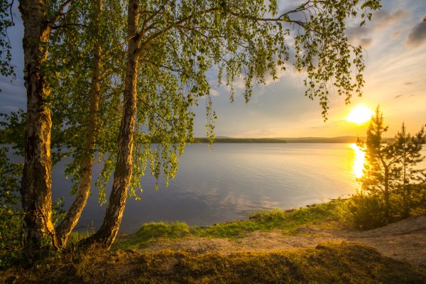 Солнце Березки река