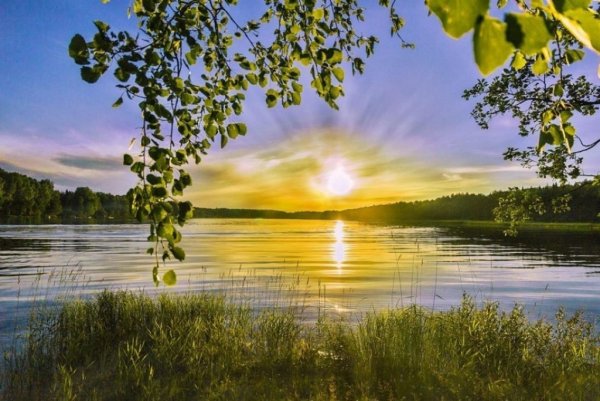 Природа России яркое солнце