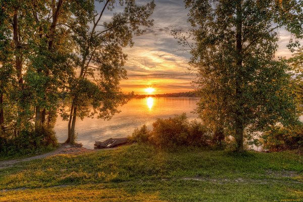 Природа березы на Восходе