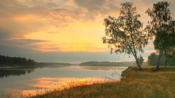 Пейзаж река березы рассвет