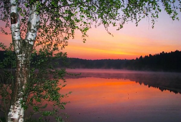 Есенина «Выткался на озере алый свет зари…»
