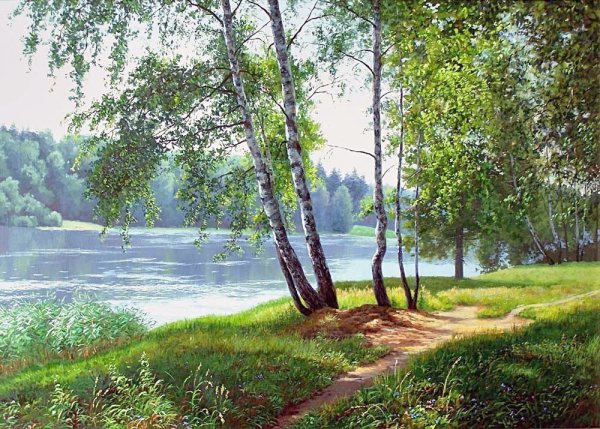 Пейзаж береза Березовая роща озеро