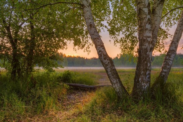 Весенний закат в деревне