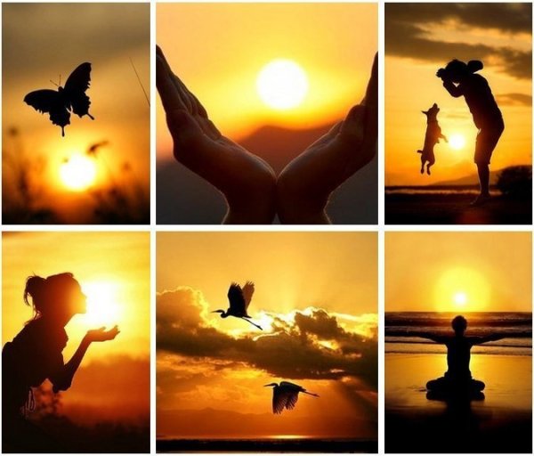 Солнце на небе это хорошо но солнце в душе важнее берегите свое солнце