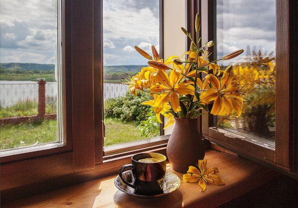 Осенний подоконник