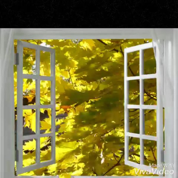 Осень чай окно