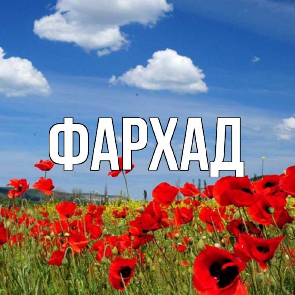 Люблю свою лучшую подругу