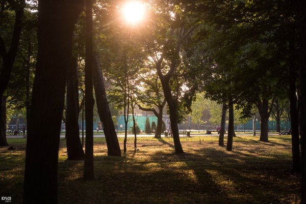 Солнечный парк Краснодар