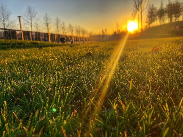 Рассвет в парке Краснодара