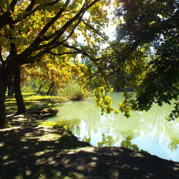 Мост парк Солнечный остров