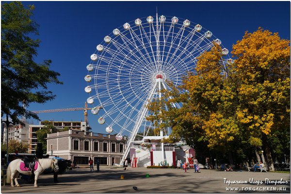 Городской парк Краснодар