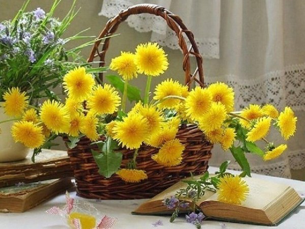 Солнечного настроения и тепла