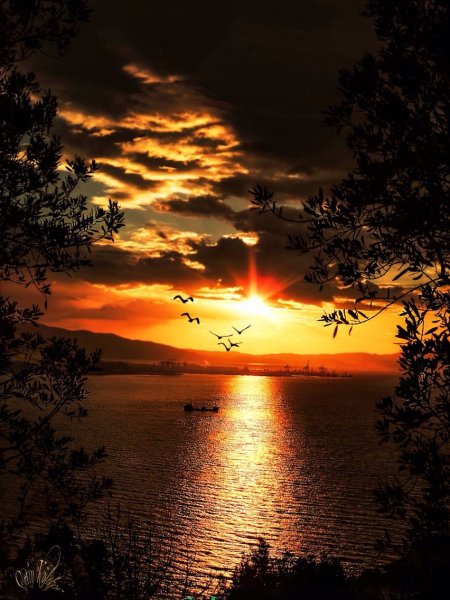 Чудесный закат