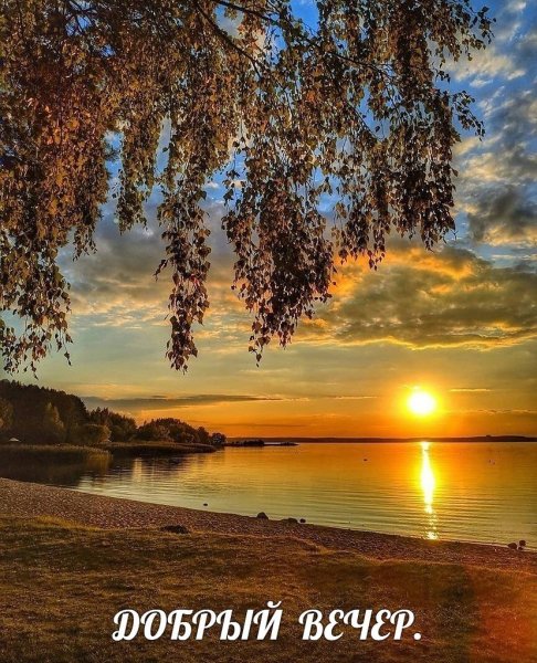 Море цветы рассвет