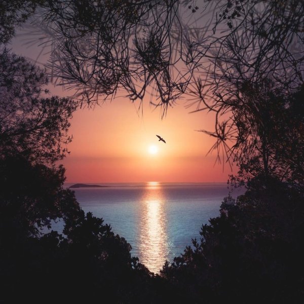 Добрый вечер природа