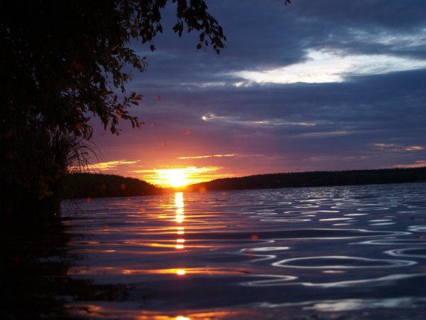 Природа закат